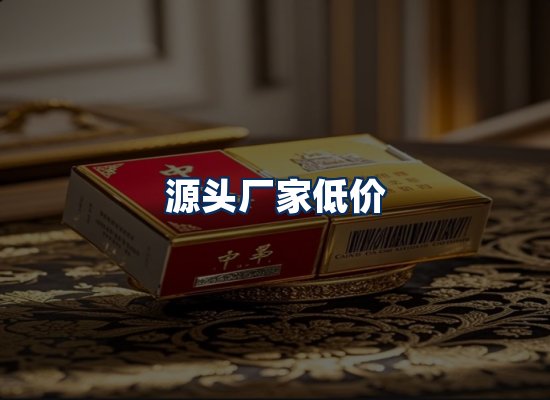 专业团队办公环境